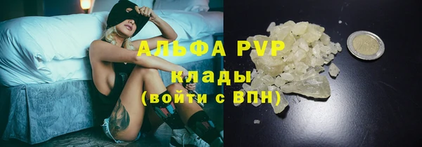 гашик Алексин