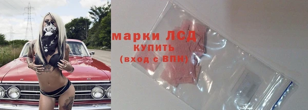 гашик Алексин