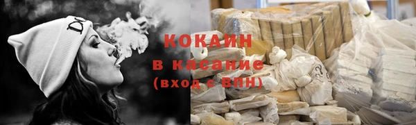 гашик Алексин