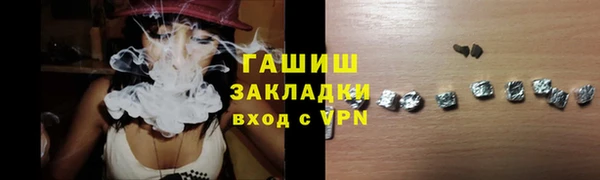 гашик Алексин