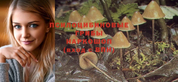 СК Алексеевка