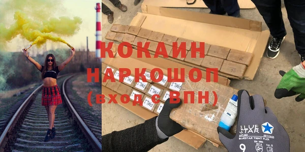 гашик Алексин