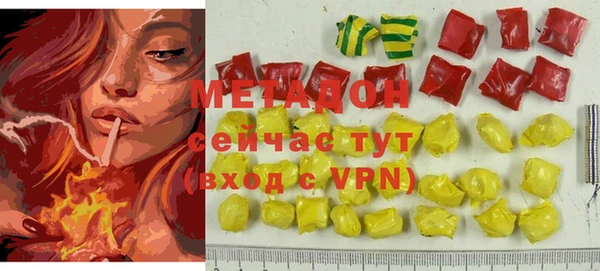 гашик Алексин