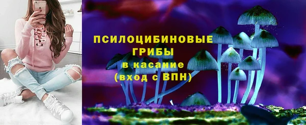 гашик Алексин